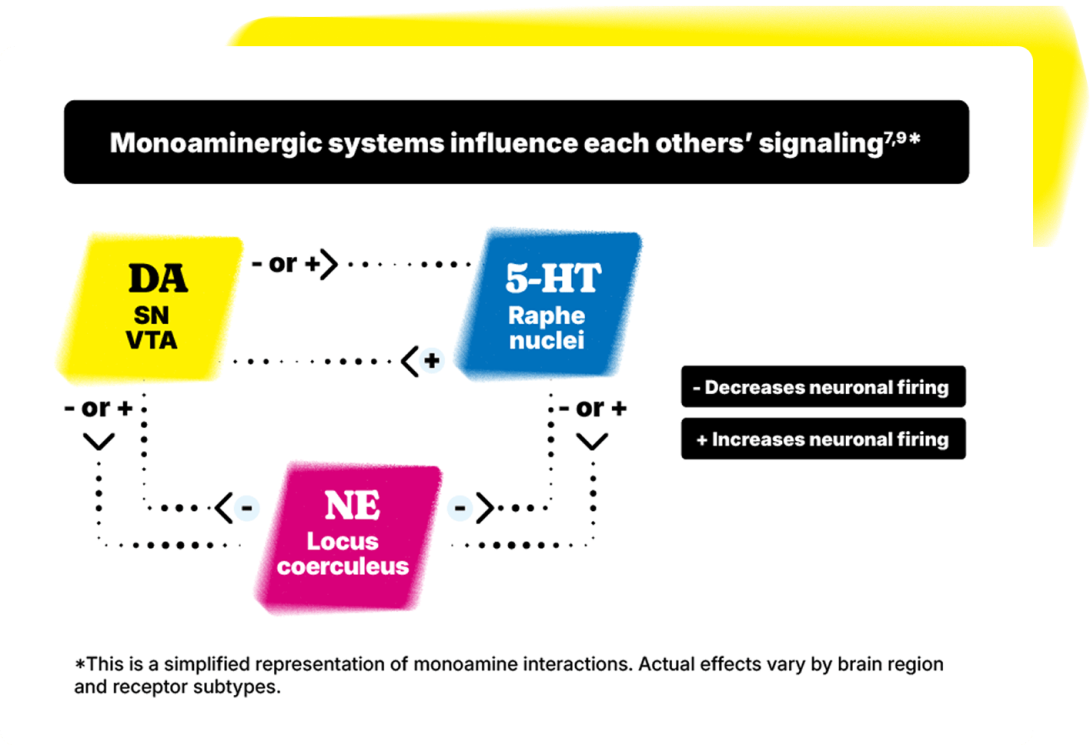 Diagram with the header 'Monoaminergic systems influence each others' signaling.' Disclaimer reads: 'This is a simplified representation of monoamine interactions. Actual effects vary by brain region and receptor subtypes.'