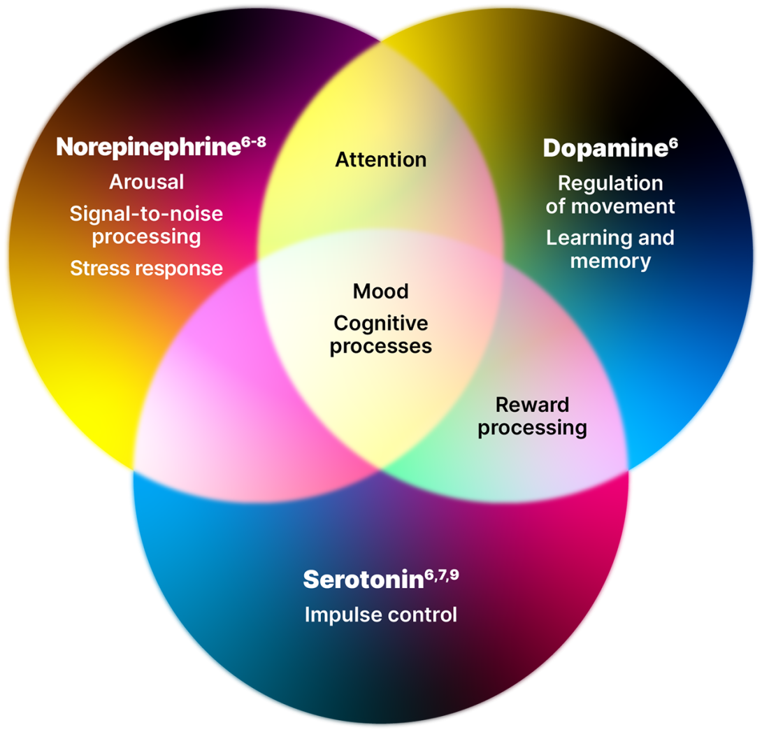 Diagram showing the 3 neurotransmitters and the symptoms of ADHD