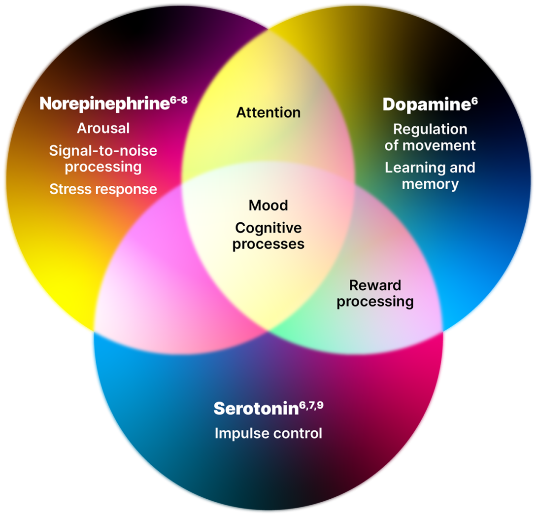 Diagram showing the 3 neurotransmitters and the symptoms of ADHD